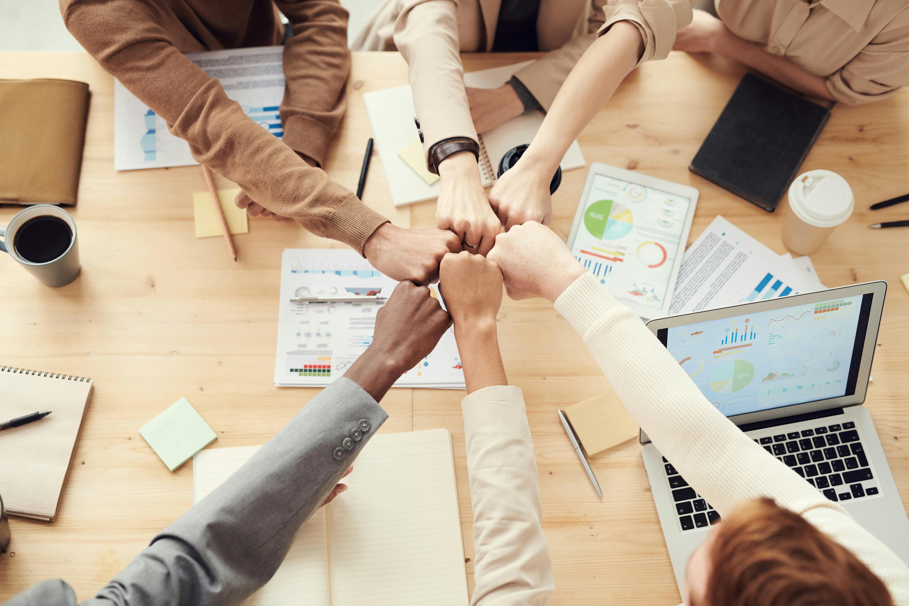 SEO professionals analyzing data and finding perfect tools for optimization strategy